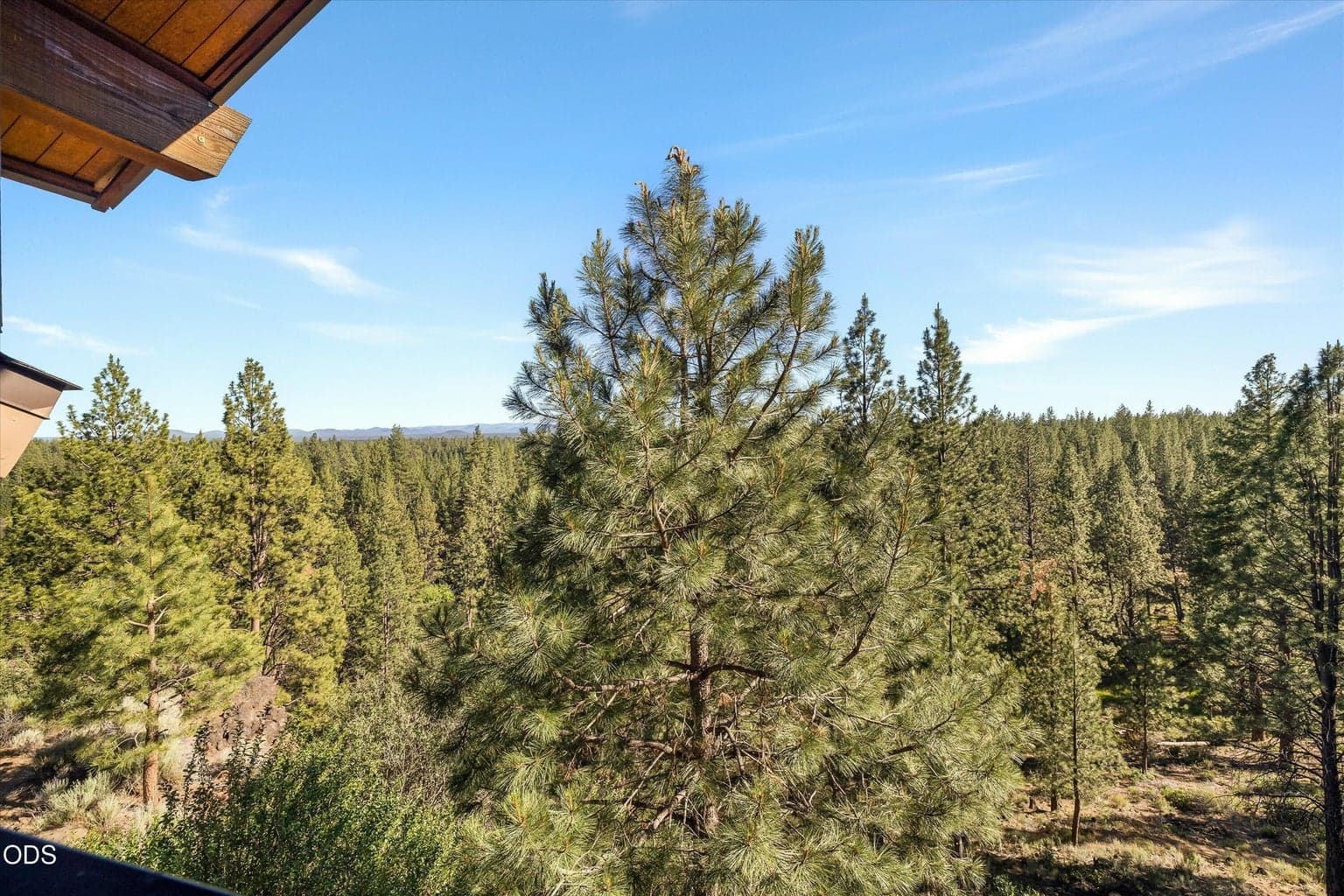 Photo of 18575 SW Century Drive 19 of 20