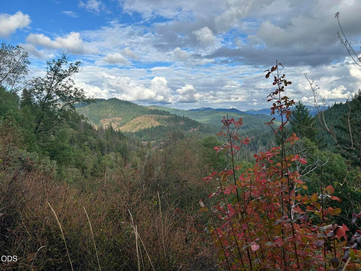 Photo of 6200 Lower Grave Creek Road 1 of 23