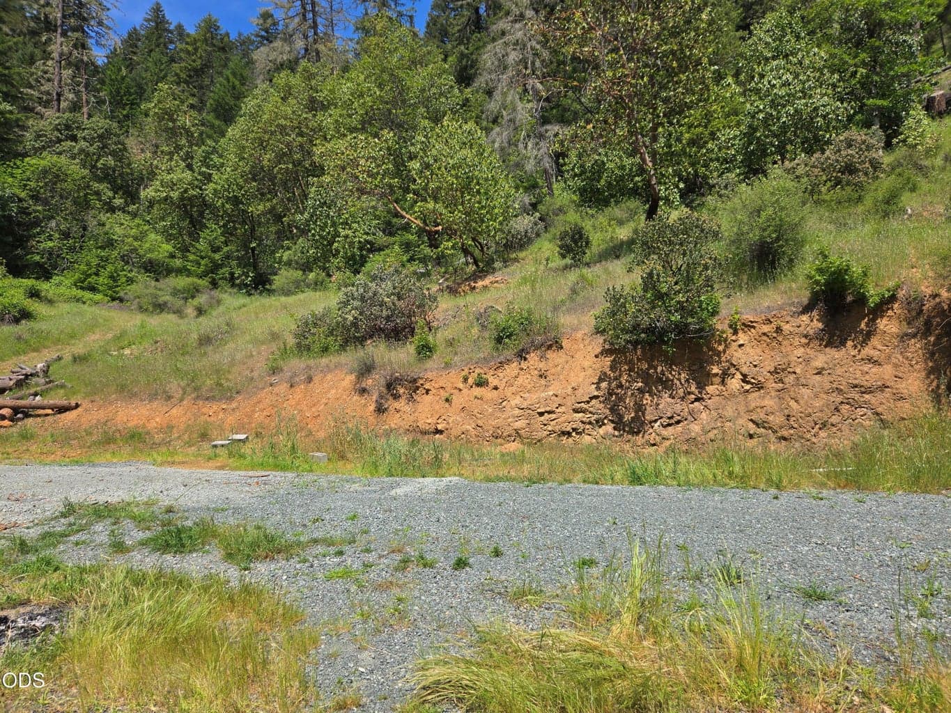 Photo of 6200 Lower Grave Creek Road 3 of 23