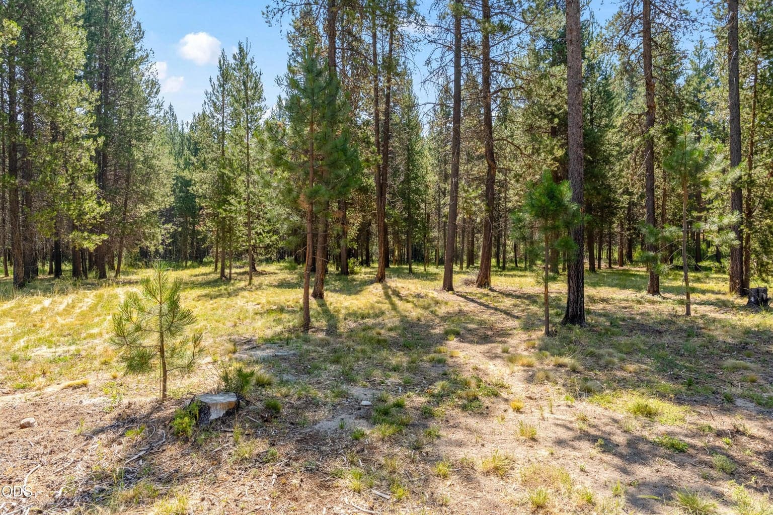 Photo of 55471 Jamie Way 3 of 11