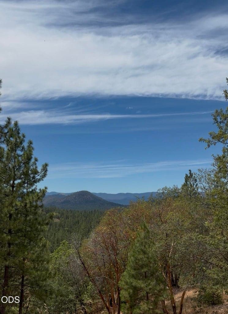 View Property