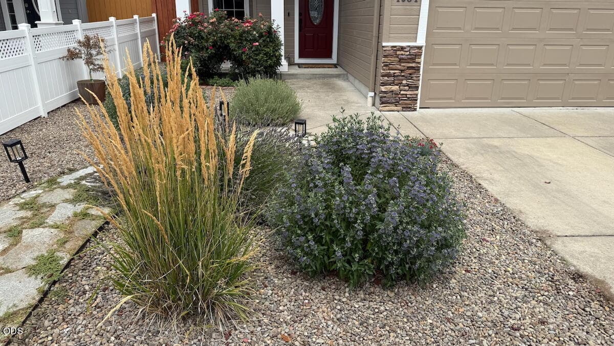 Mature landscaping in the front.