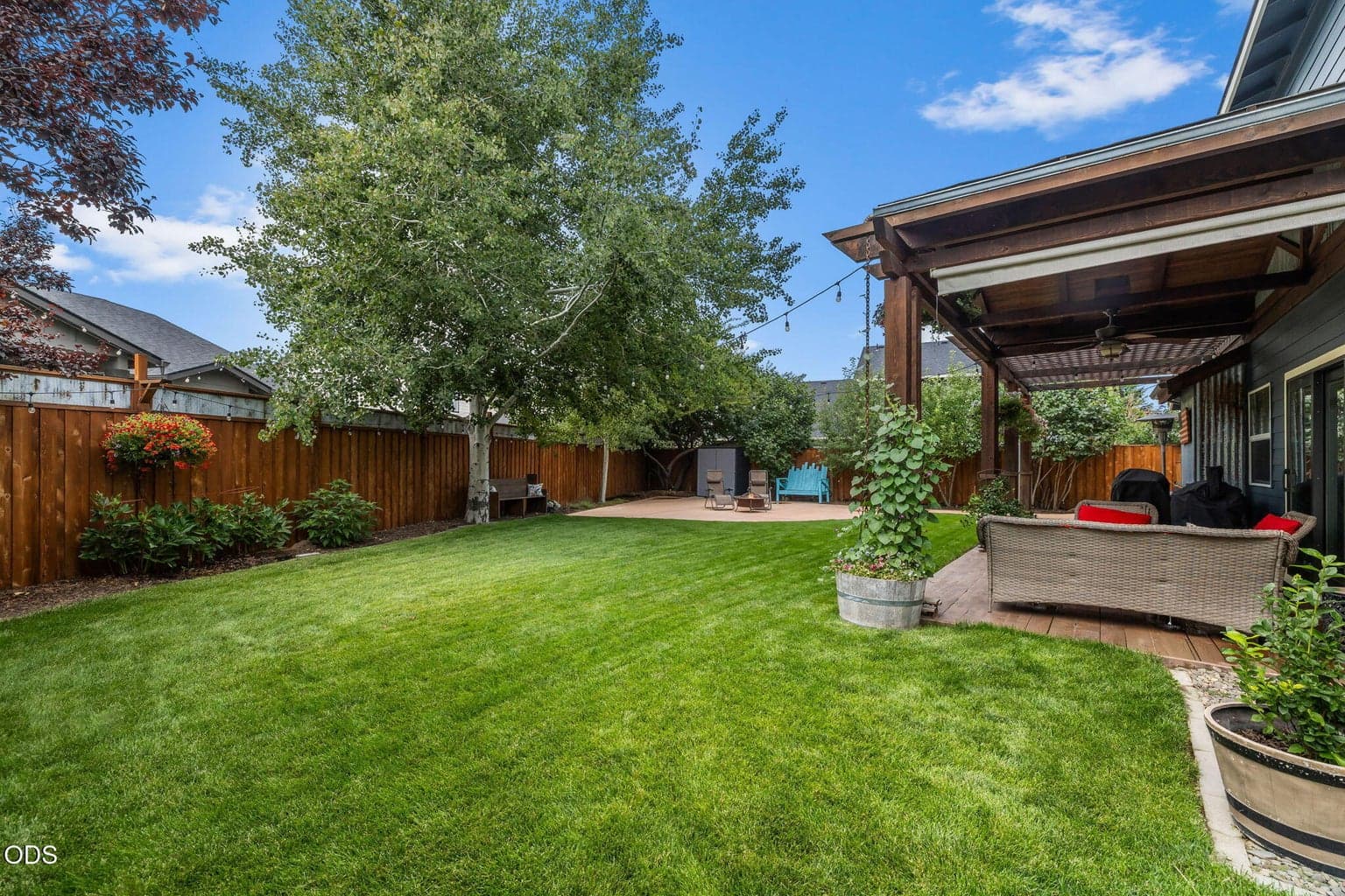 Back Yard