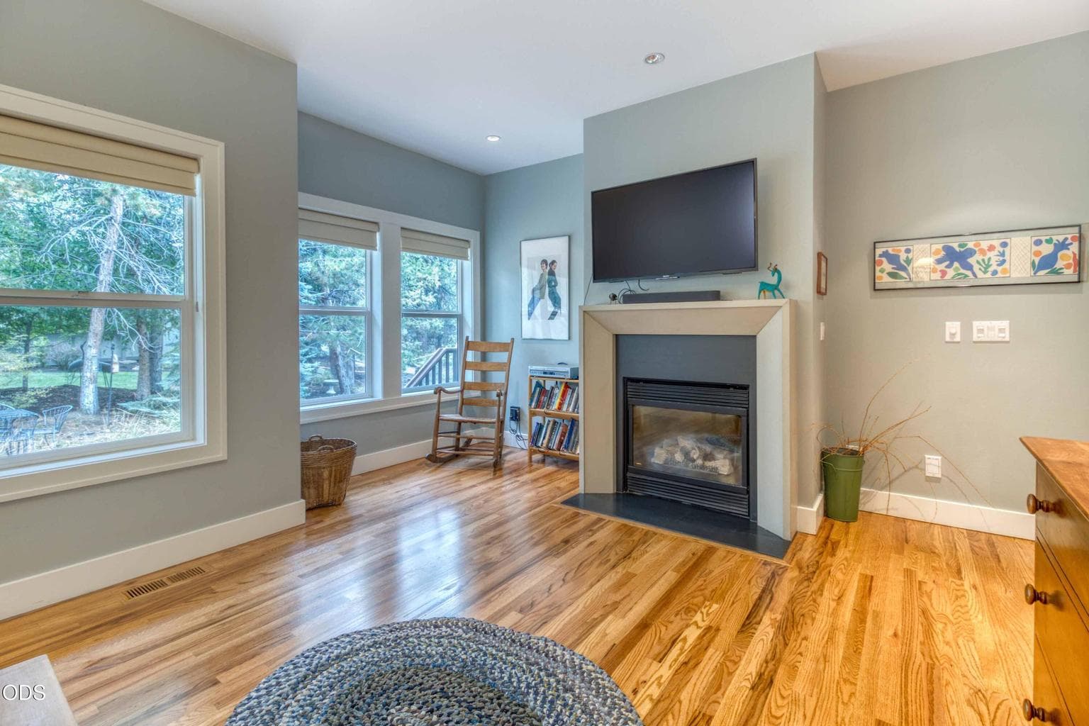 Gas Fireplace