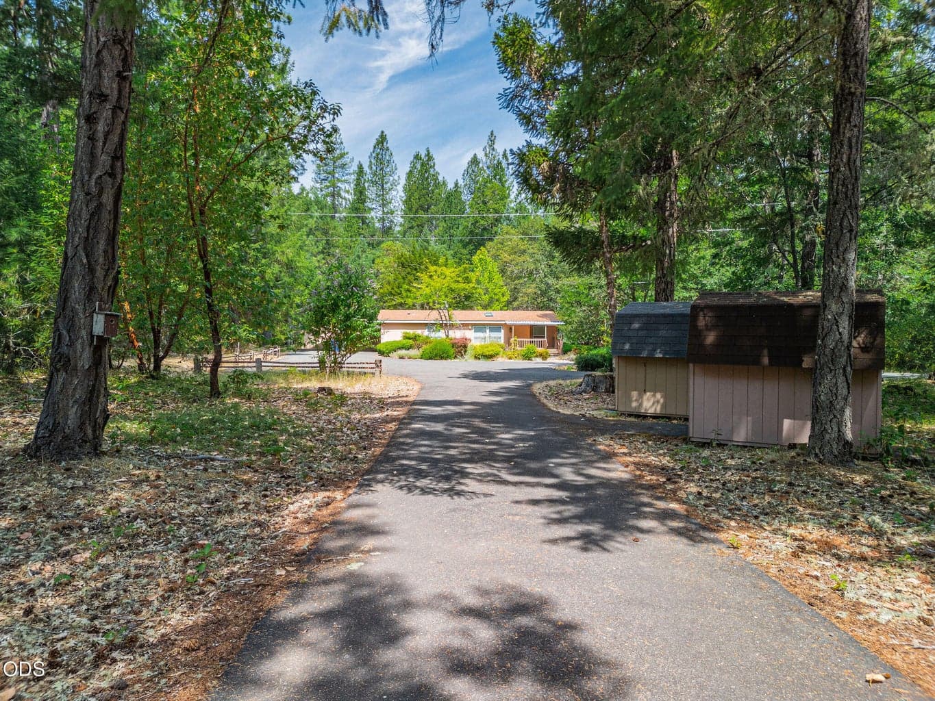 Photo of 330 Bull Creek Road 4 of 54