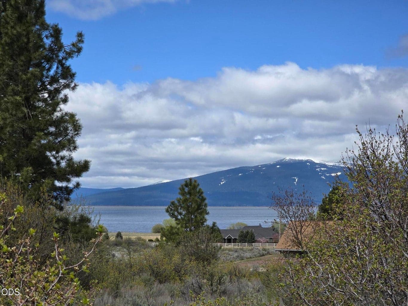 Photo of Margi Way 1 of 6