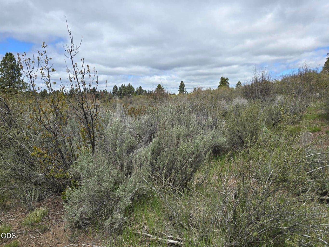 Photo of Margi Way 2 of 6
