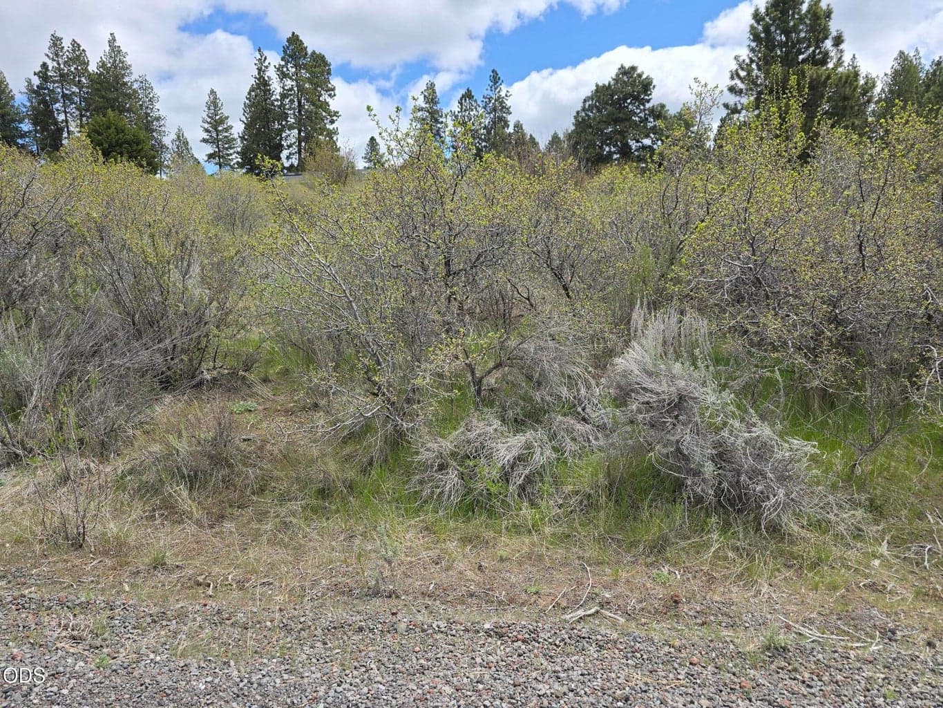 Photo of Margi Way 3 of 6
