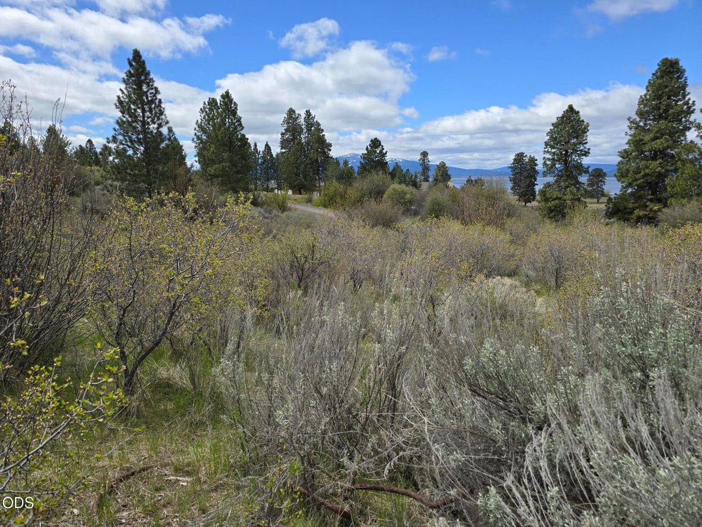 Photo of Margi Way 4 of 6