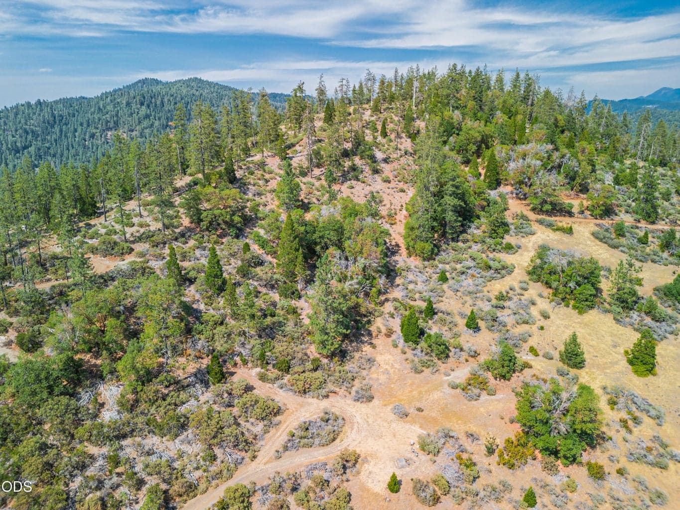 Photo of 1408 Caves Highway 2 of 7
