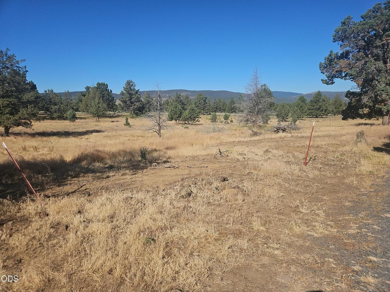 Photo of 11489 Harpold Road 5 of 15