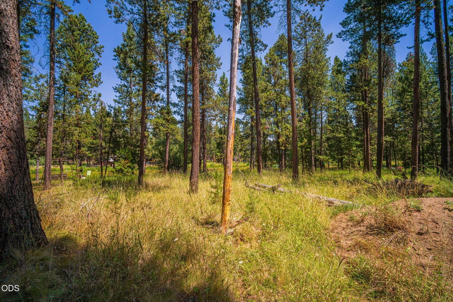 Photo of 17170 Island Loop Way 6 of 24