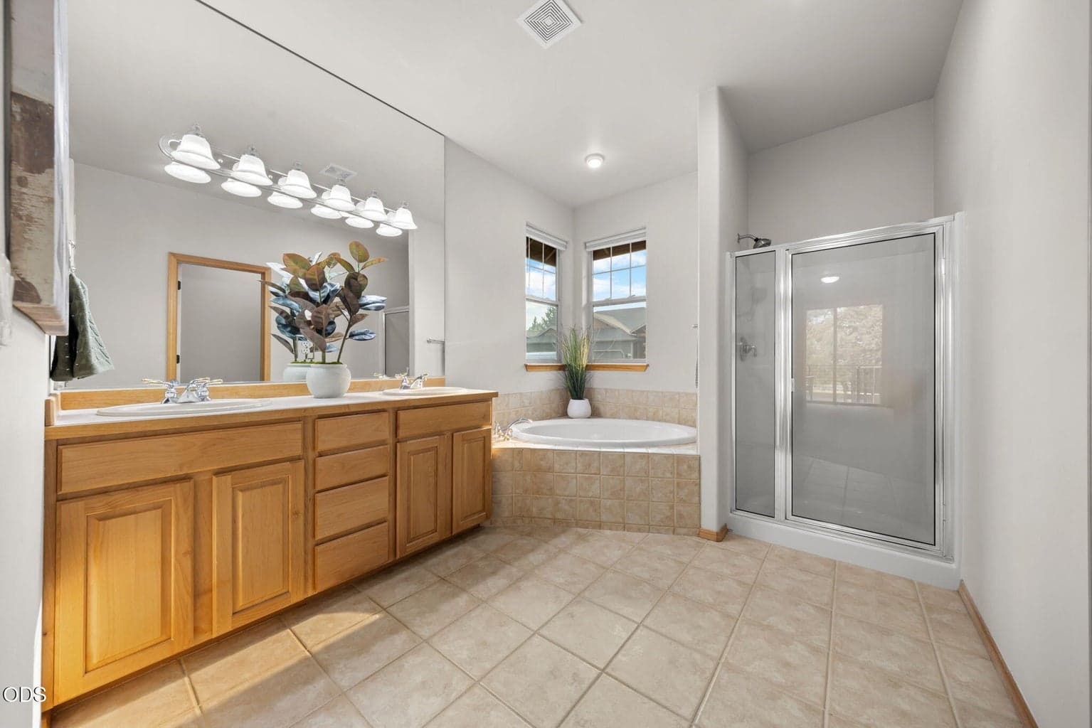 Primary Bath Downstairs