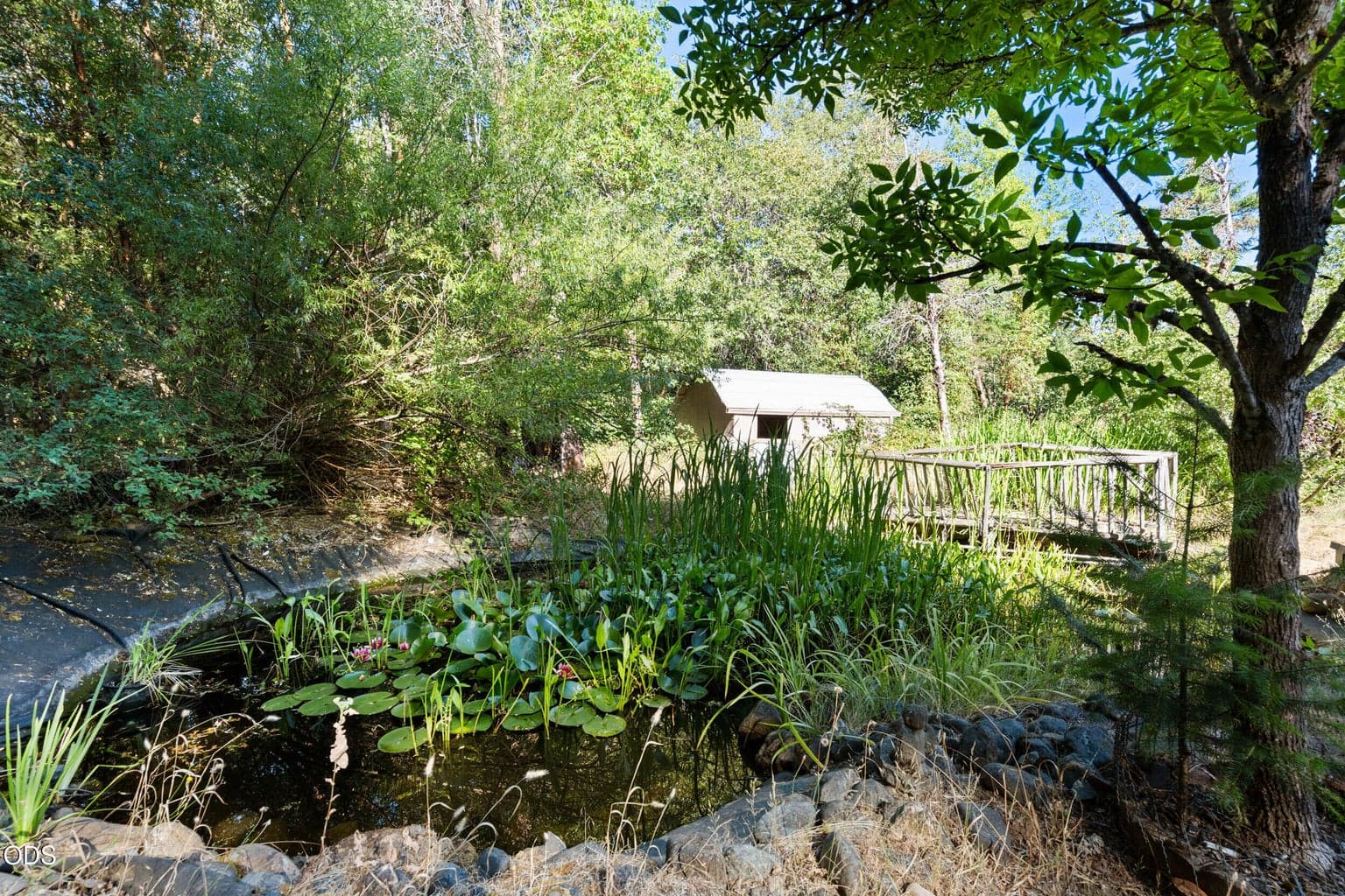 Photo of 155 Kerby Mainline Road 2 of 50
