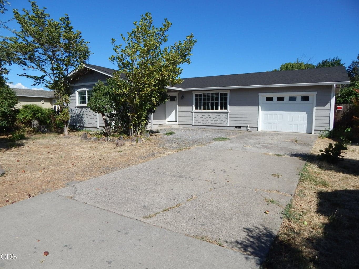 Fruit trees in the front yard, new roof, new double pane windows and more!