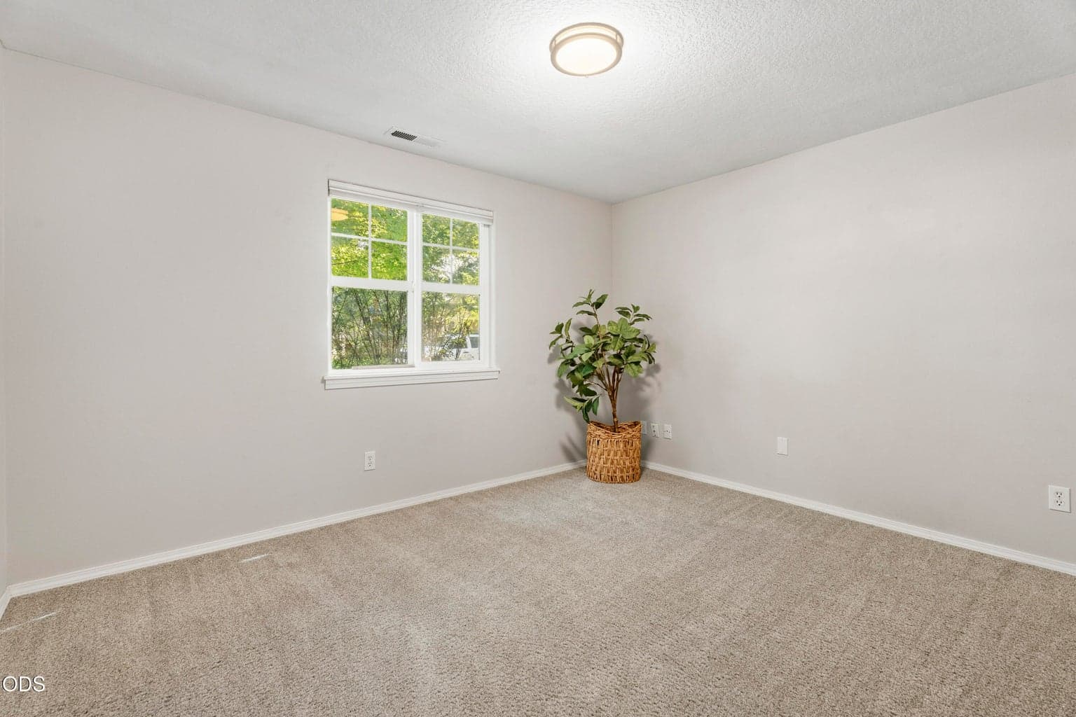Photo of 20618 Daisy Lane 29 of 50