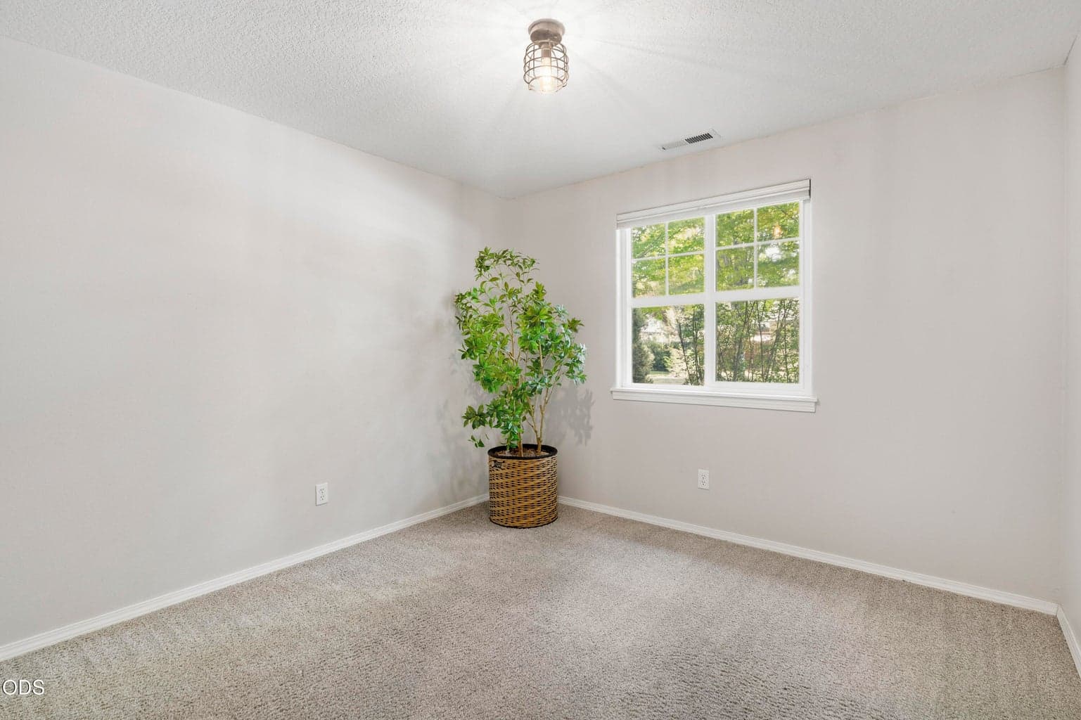 Photo of 20618 Daisy Lane 41 of 50