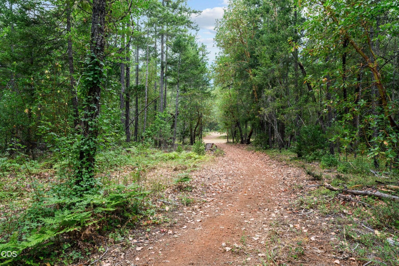 Photo of 9433 Evans Creek Road 4 of 33