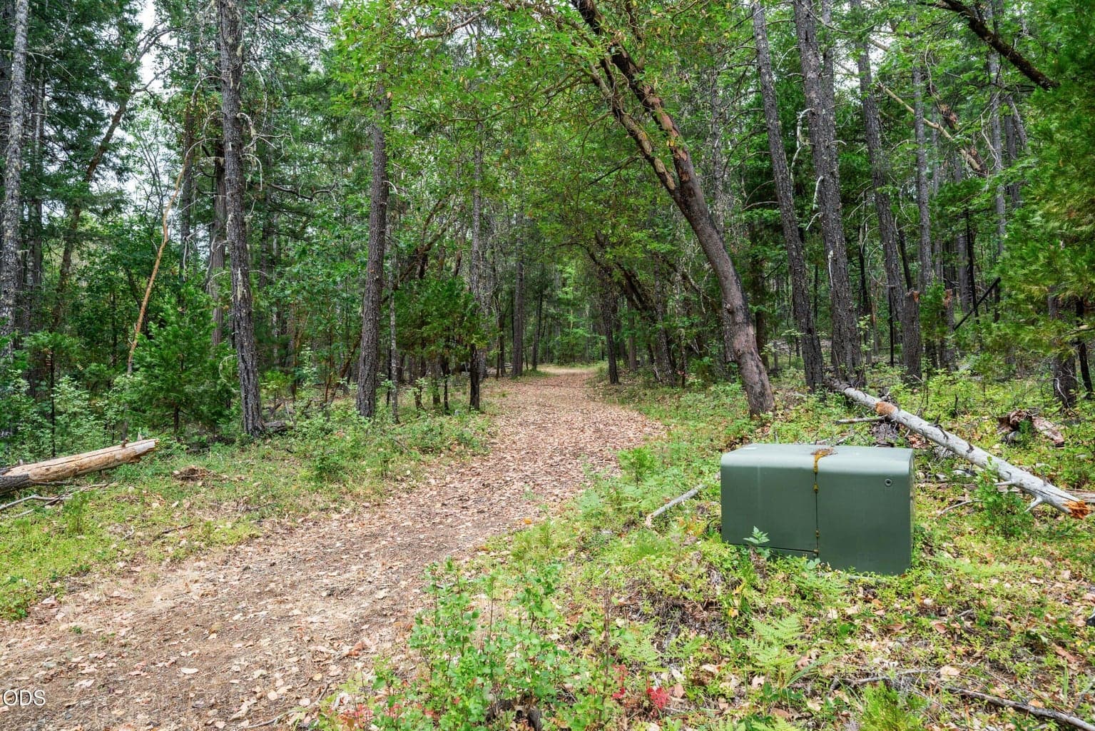 Photo of 9433 Evans Creek Road 2 of 33