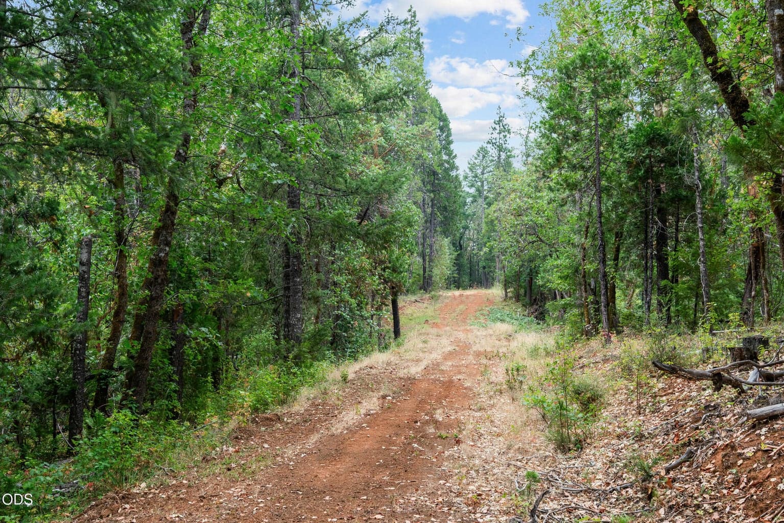 Photo of 9433 Evans Creek Road 5 of 33