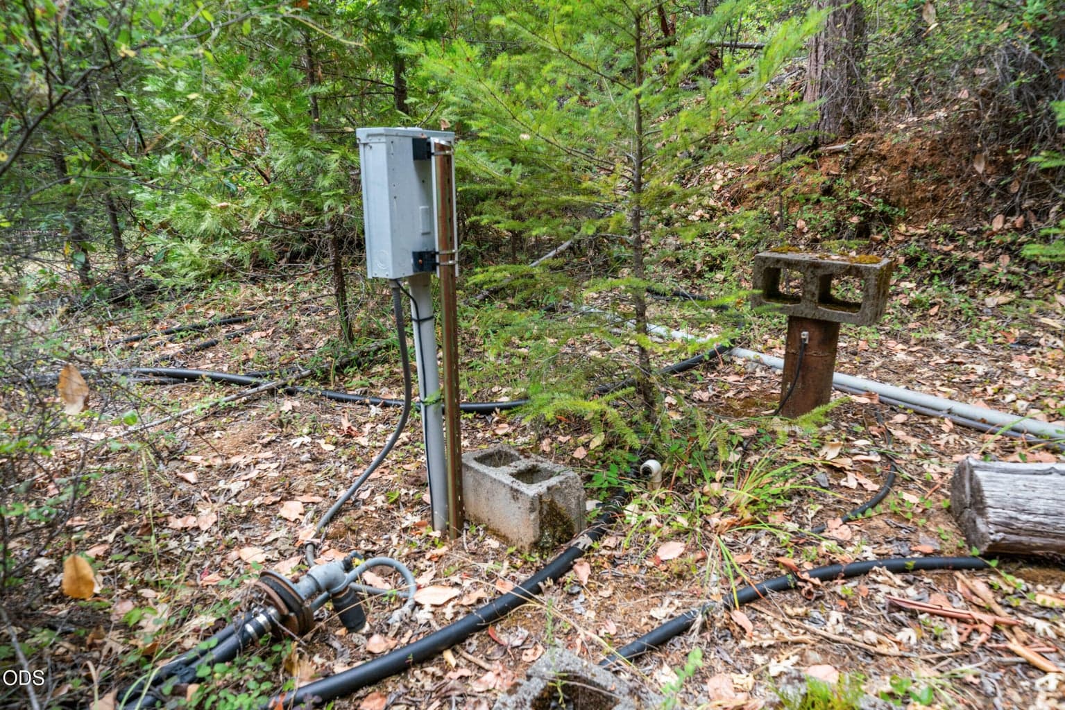 Photo of 9433 Evans Creek Road 3 of 33