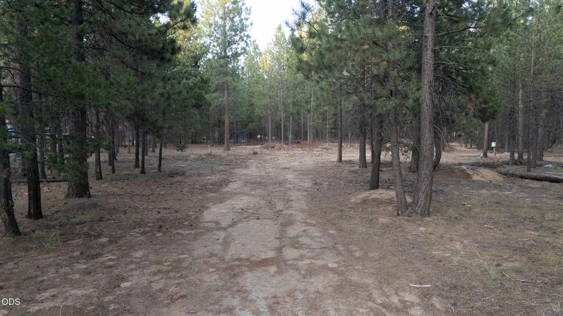 Photo of 53132 Andrews Road 4 of 6