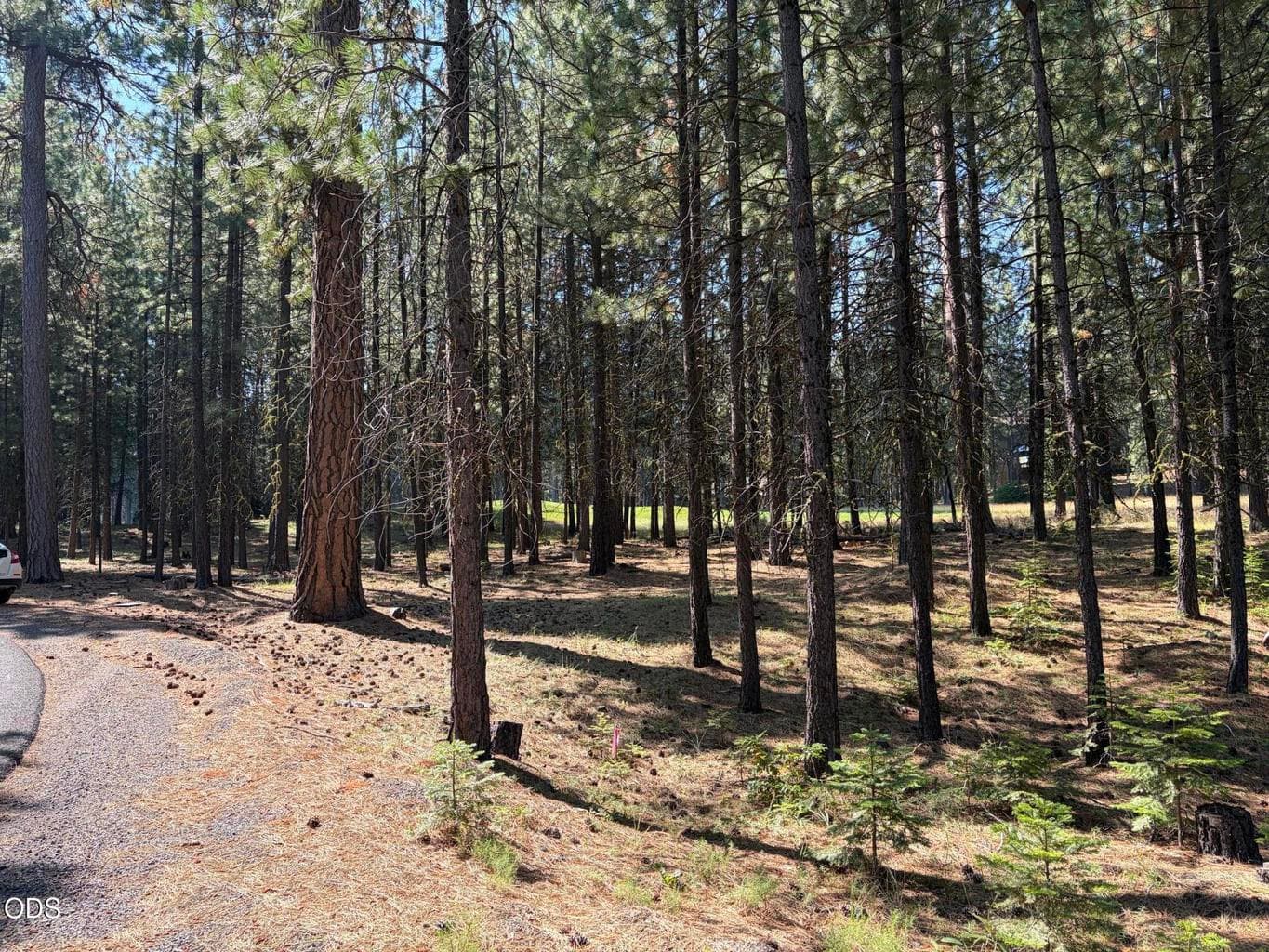 .67 acre lot