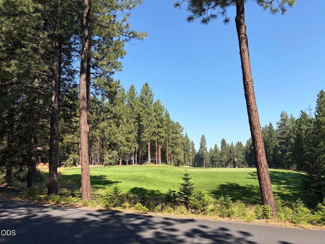 15th green