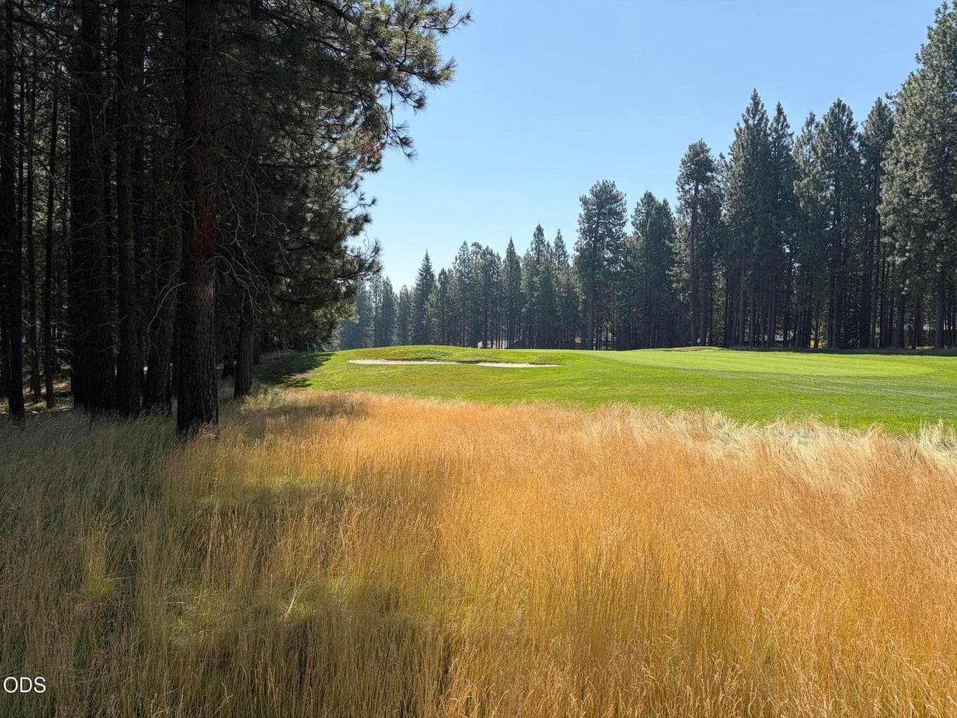 16th fairway