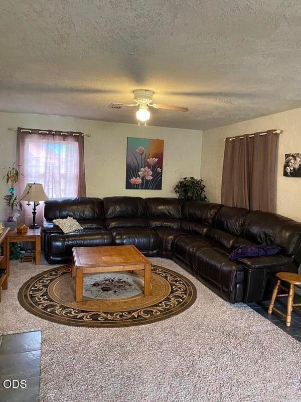 Photo of 415 Berglund Street 4 of 29