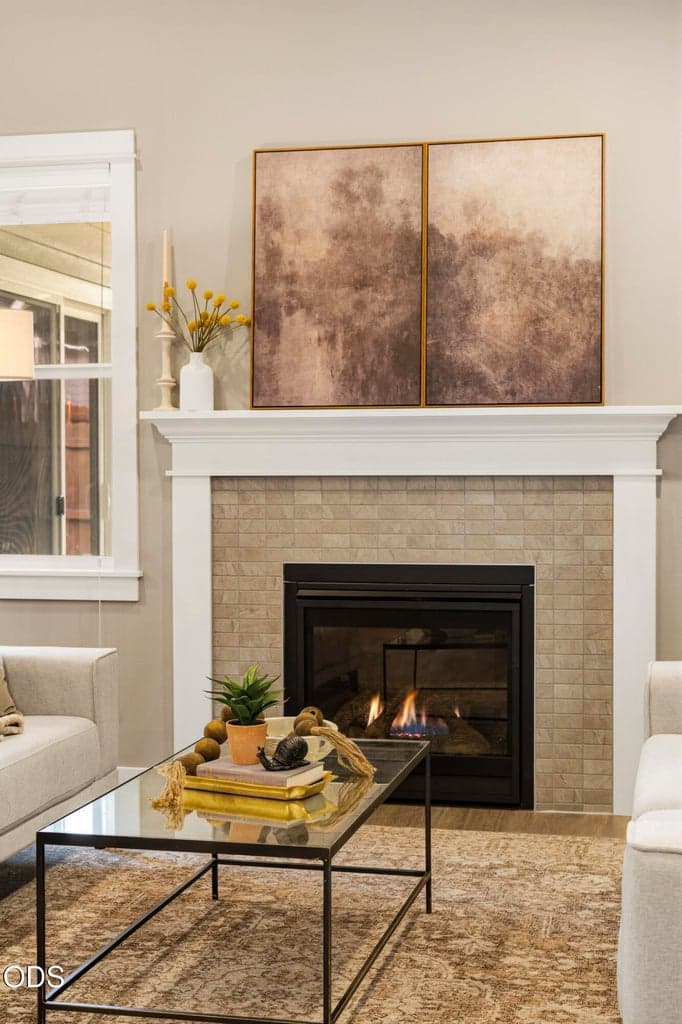 Gas fireplace