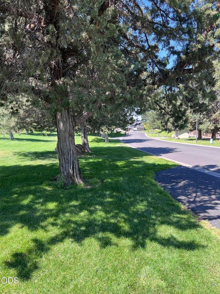 Photo of 3525 SW Hillcrest Court 57 of 59