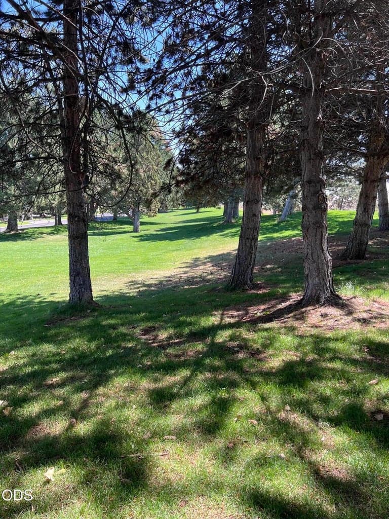 Photo of 3525 SW Hillcrest Court 56 of 59