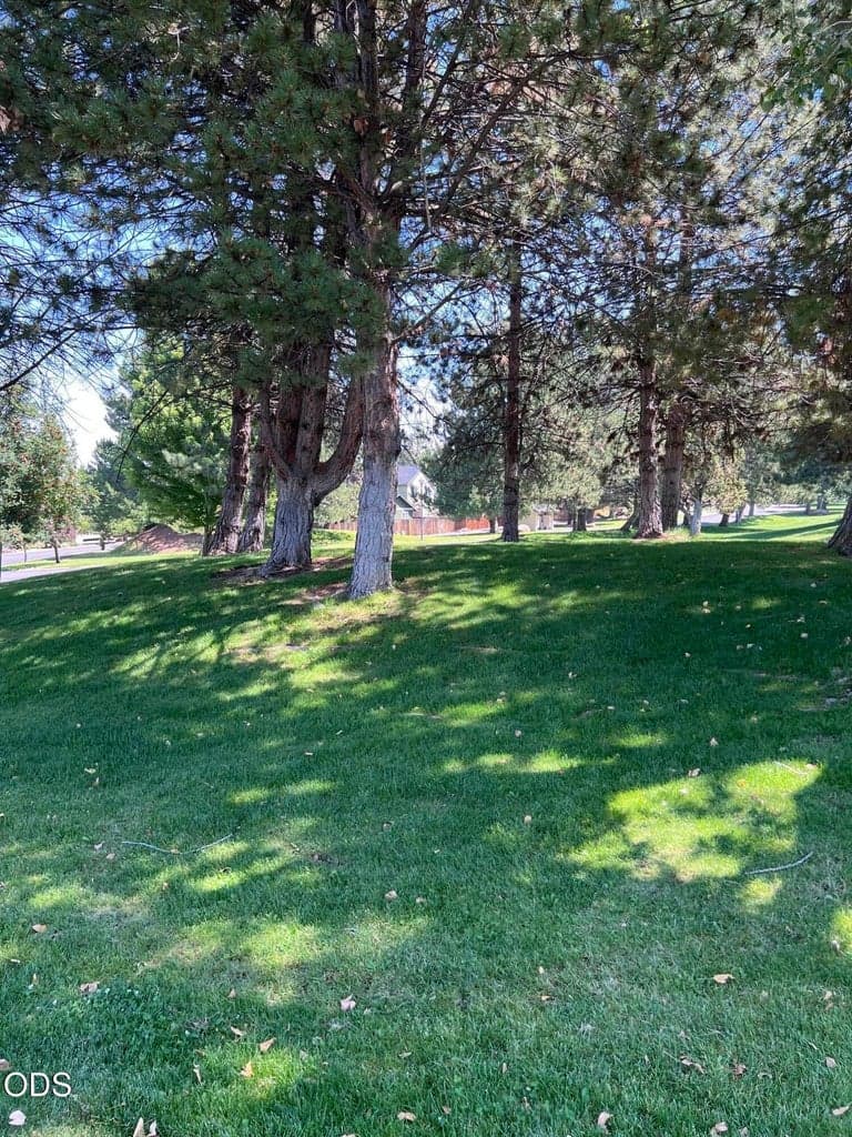 Photo of 3525 SW Hillcrest Court 58 of 59