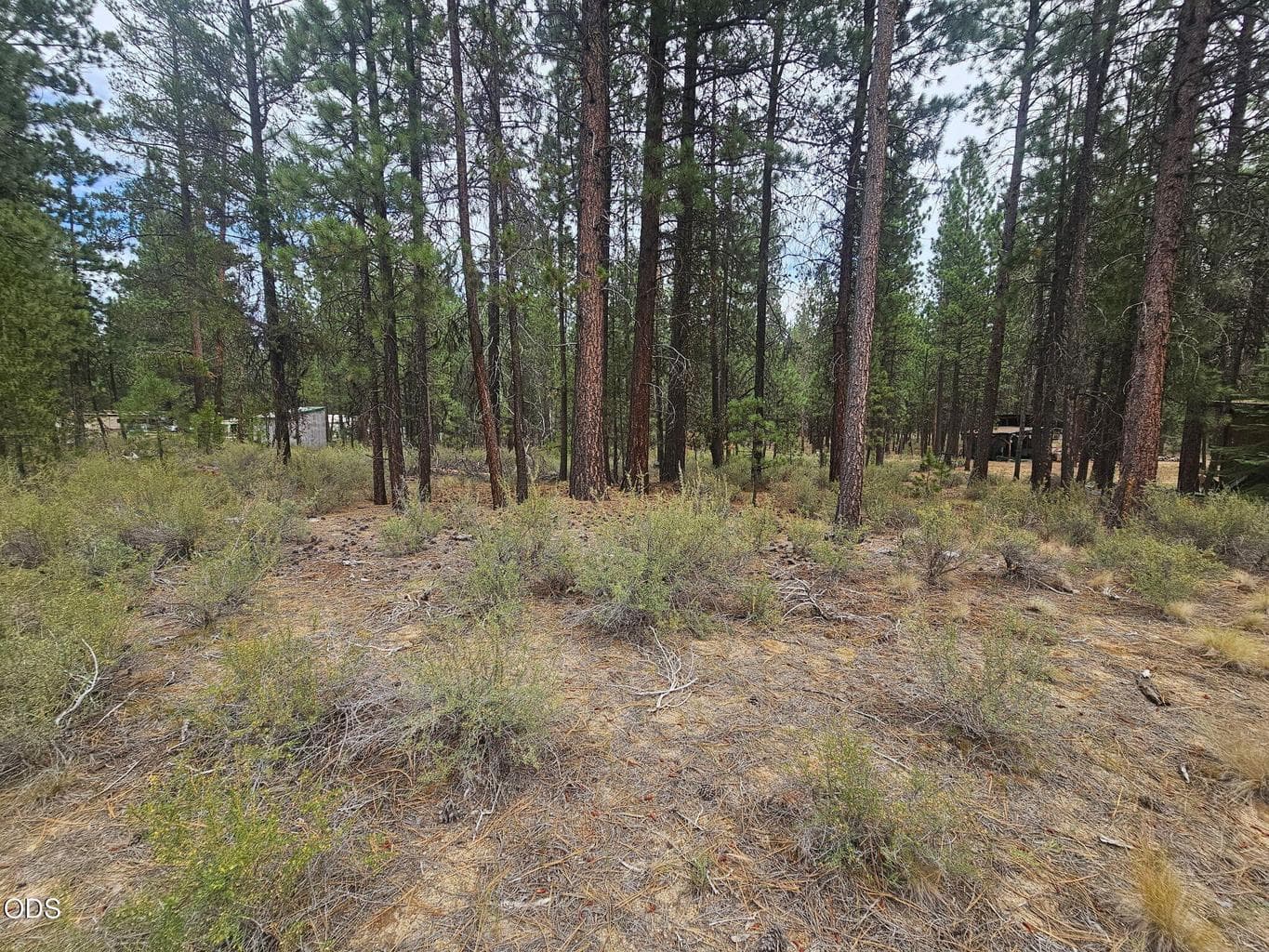 Photo of 50428 Deer Street 1 of 2