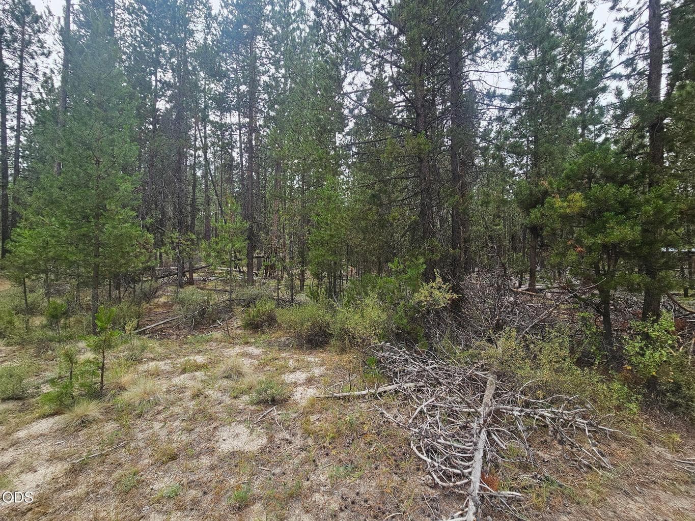 Photo of 50429 Cascade Street 2 of 2