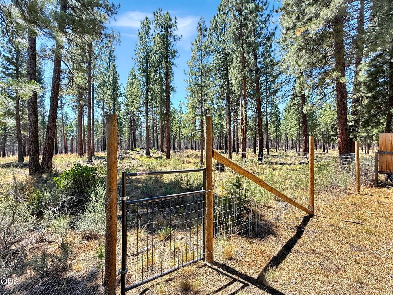 A fenced gateway opens onto the property's National Forest edge.