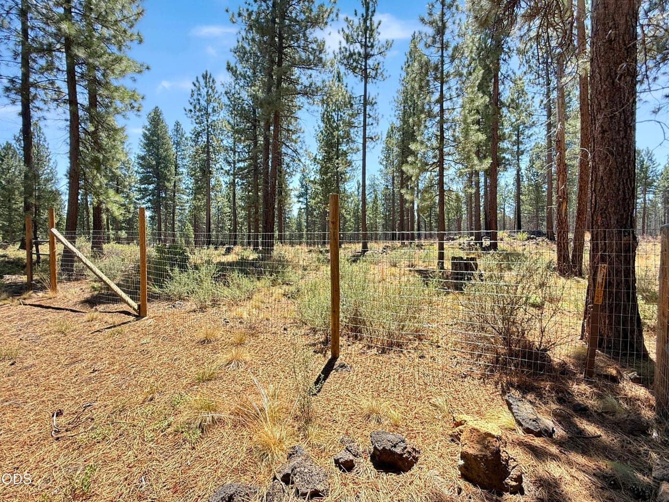 Perimeter fencing marking the property line.