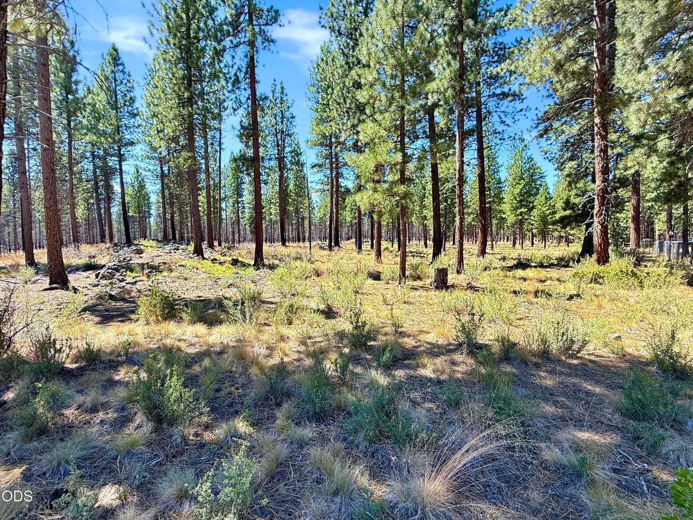 Step into a private stand of mature pines across thousands of acres of Deschutes National Forest out your backdoor.