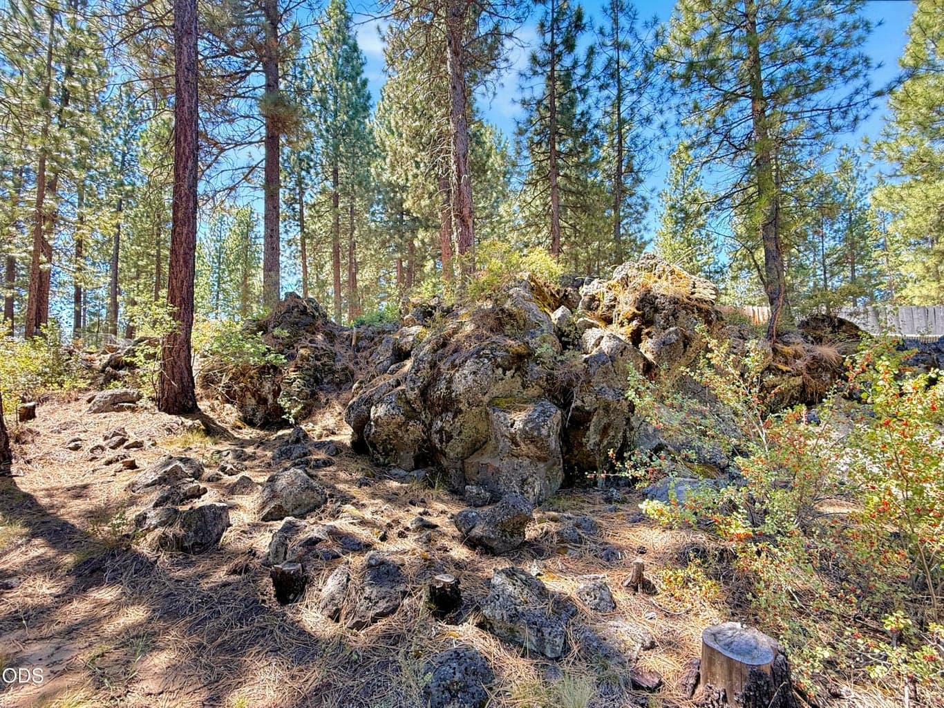 Sculptural volcanic rock formations bring natural texture and drama to the wooded homesite.