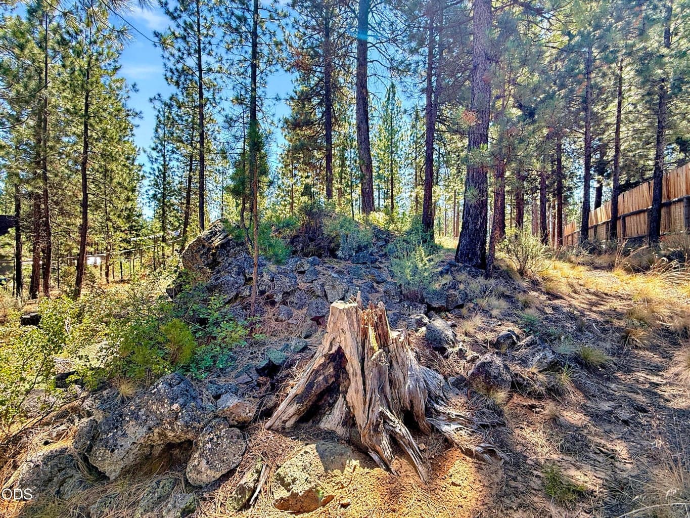 Weathered rock and wood give this homesite the rustic, storybook charm you dream of.