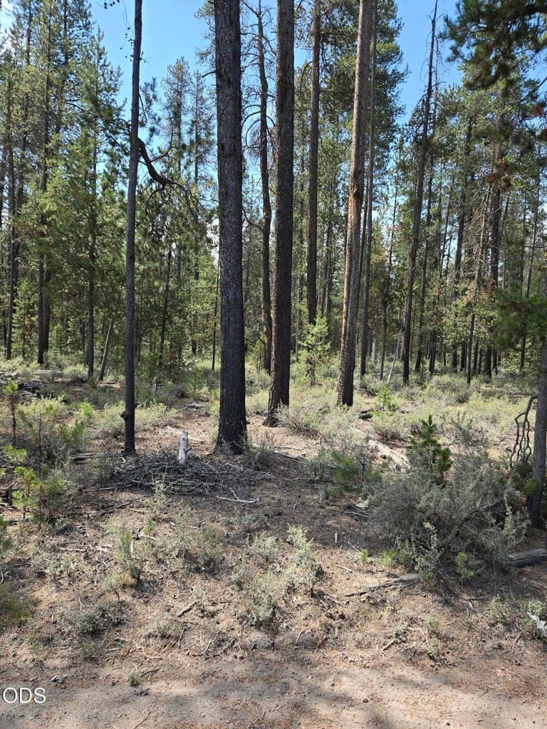 Photo of 52650 Ranch Drive 1 of 4