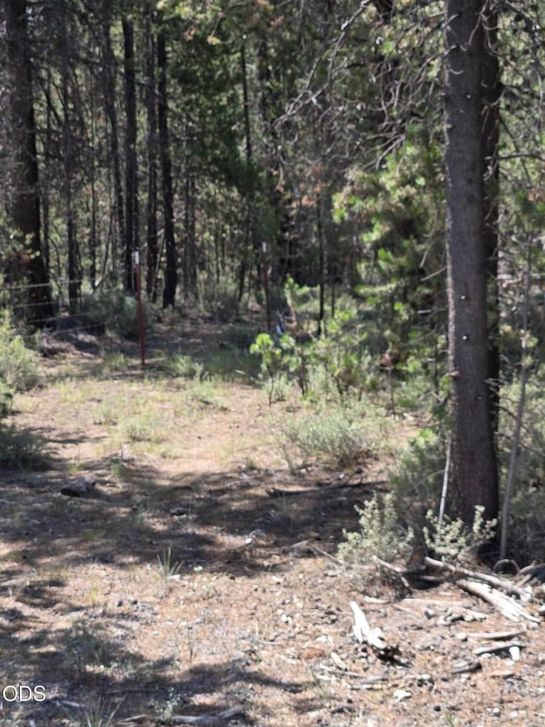 Photo of 52650 Ranch Drive 4 of 4