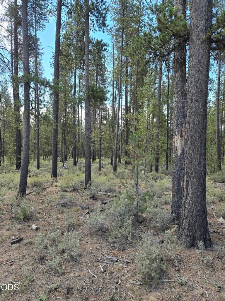 Photo of 52650 Ranch Drive 2 of 4