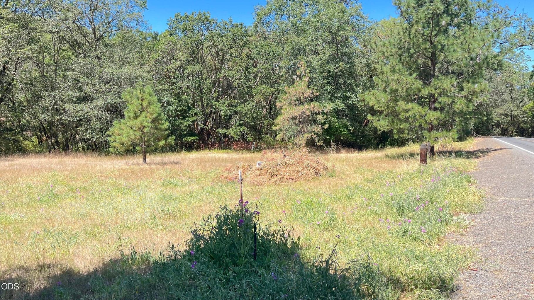 Photo of 4569 Kane Creek Road 2 of 21
