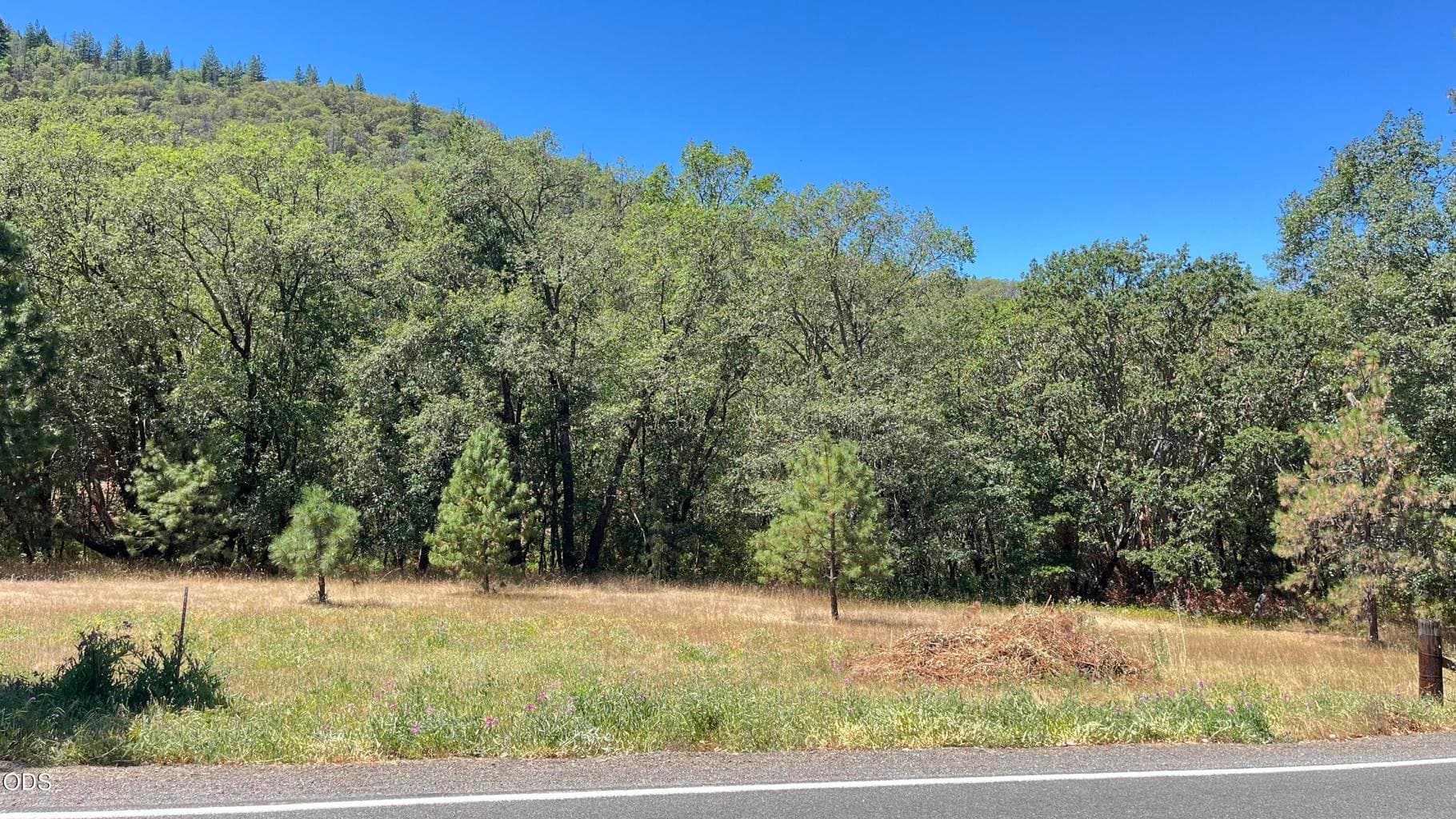 Photo of 4569 Kane Creek Road 3 of 21
