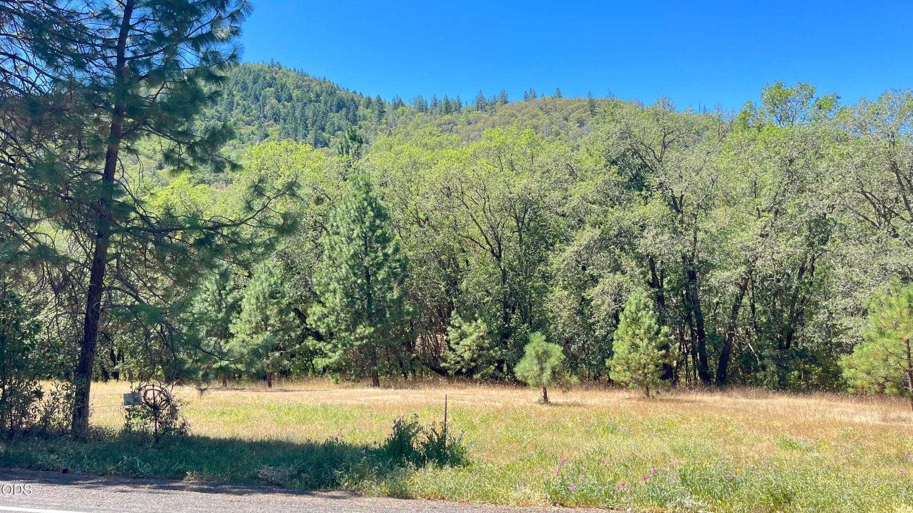 Photo of 4569 Kane Creek Road 4 of 21