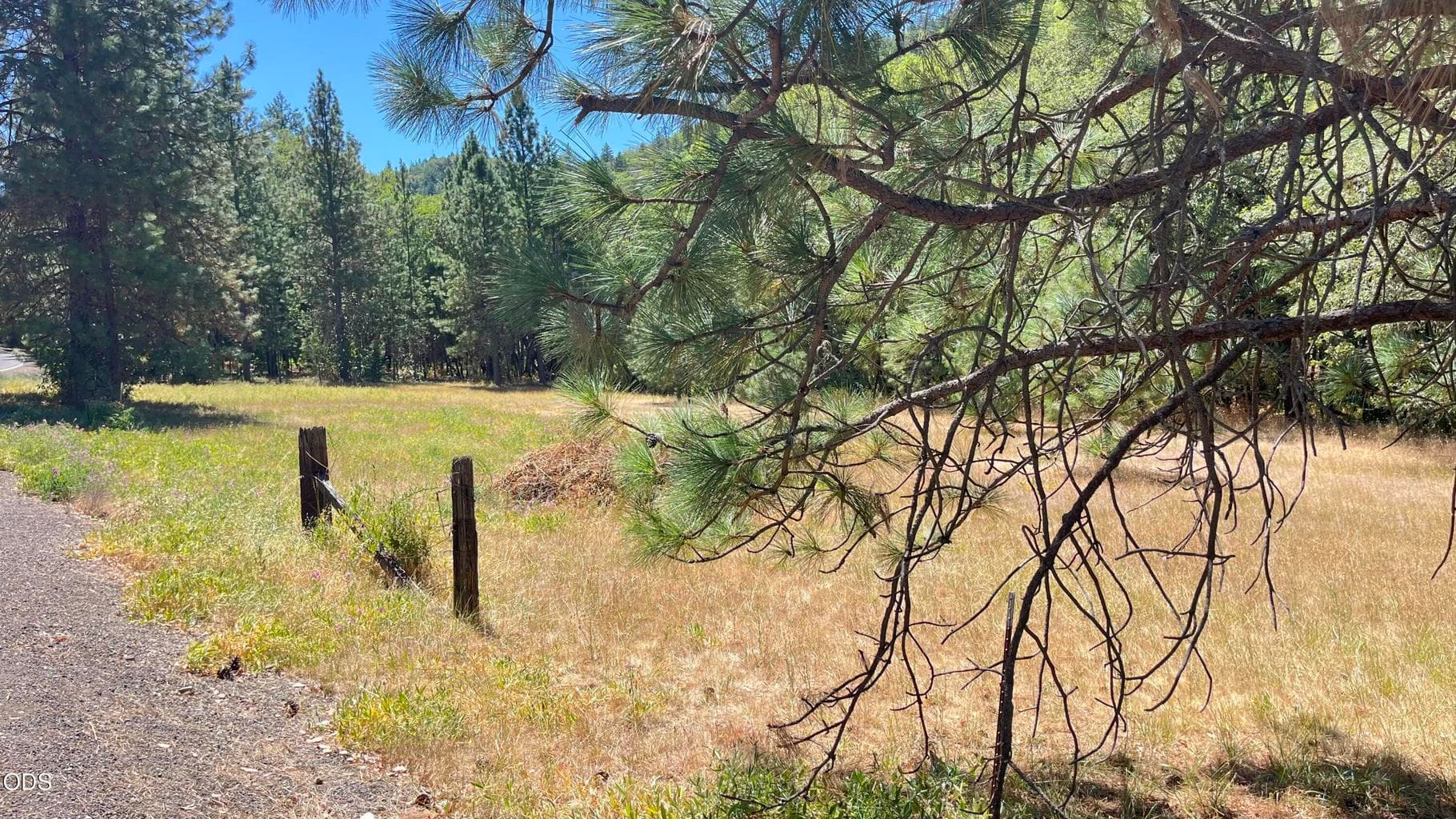 Photo of 4569 Kane Creek Road 5 of 21