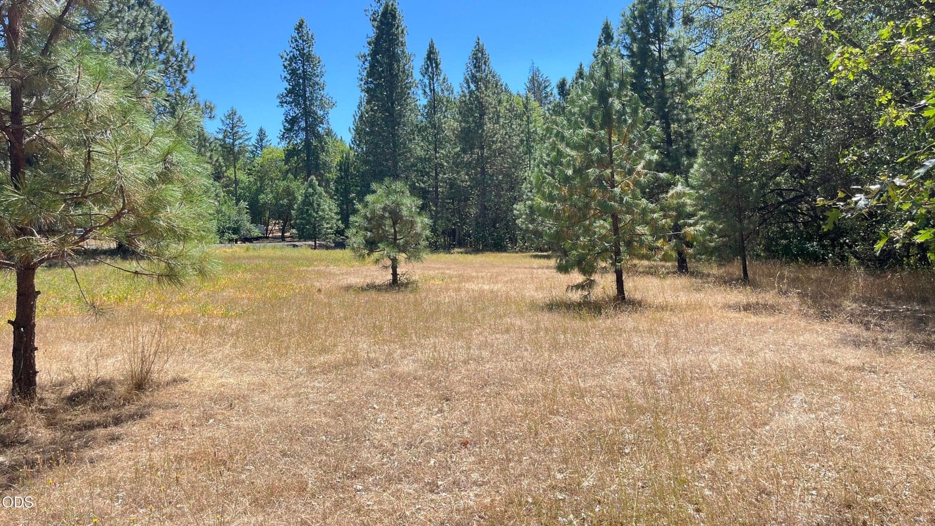 Photo of 4569 Kane Creek Road 1 of 21