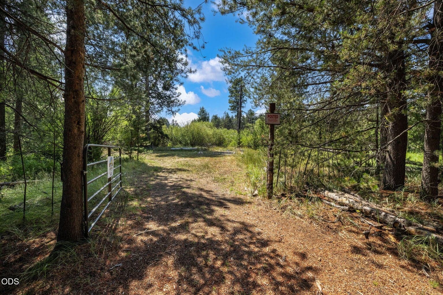 Photo of 16711 Contorta Place 4 of 34